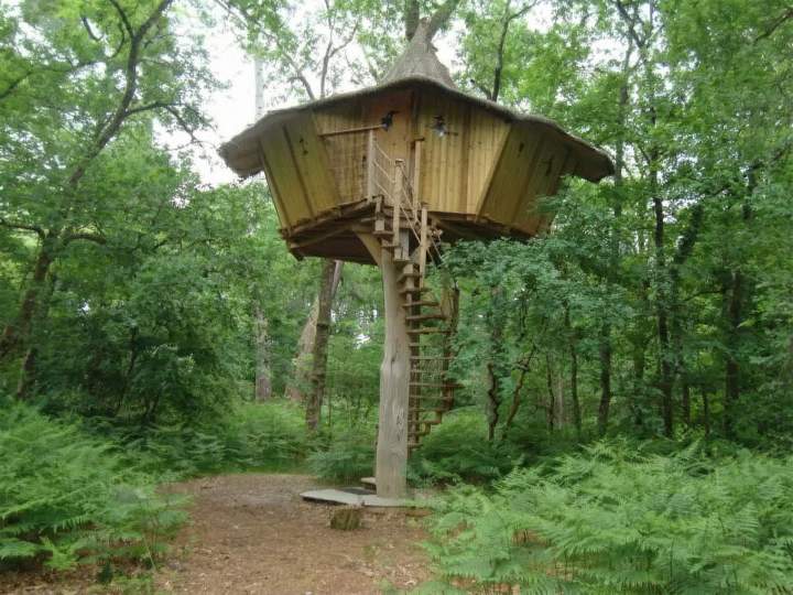 Audit cabane dans arbre Lyon